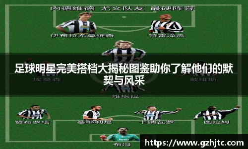 足球明星完美搭档大揭秘图鉴助你了解他们的默契与风采